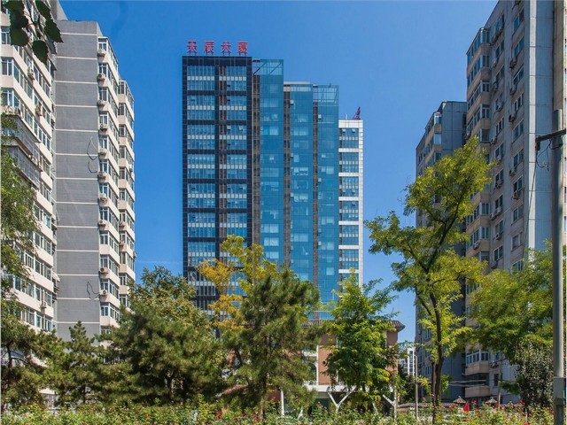 龙湾区速度控制电机售后